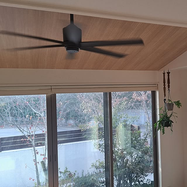 Saranさんの実例写真