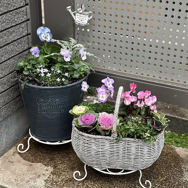 maayaさんのお部屋の写真