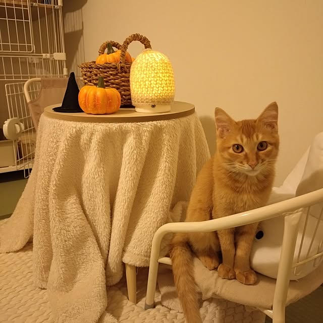 mayutan.さんの実例写真