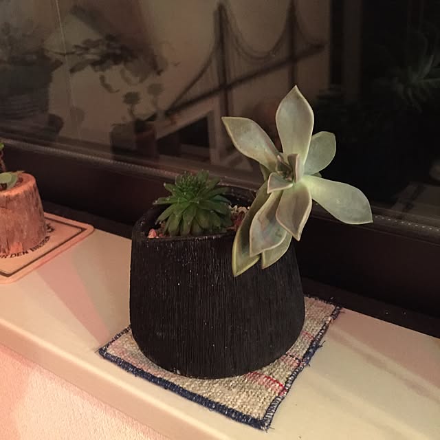 tsuyopipさんの実例写真