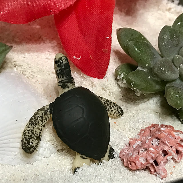 実例写真