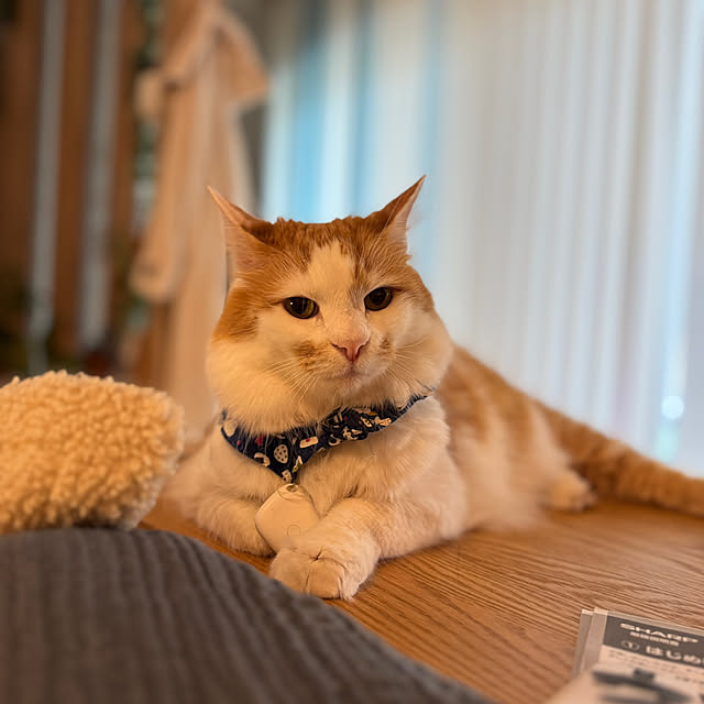 yutaさんの部屋