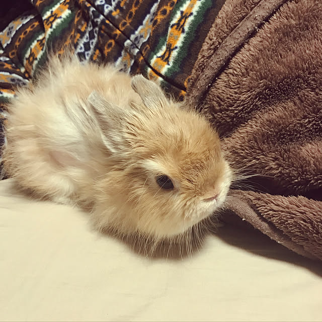 mさんの実例写真