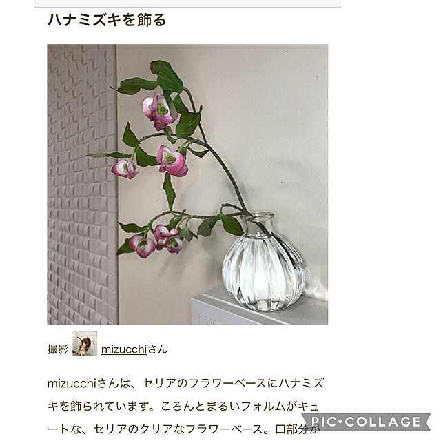 mizucchiさんの実例写真