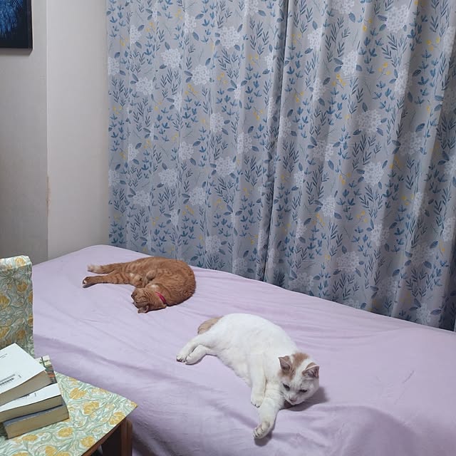 NOAHさんの部屋