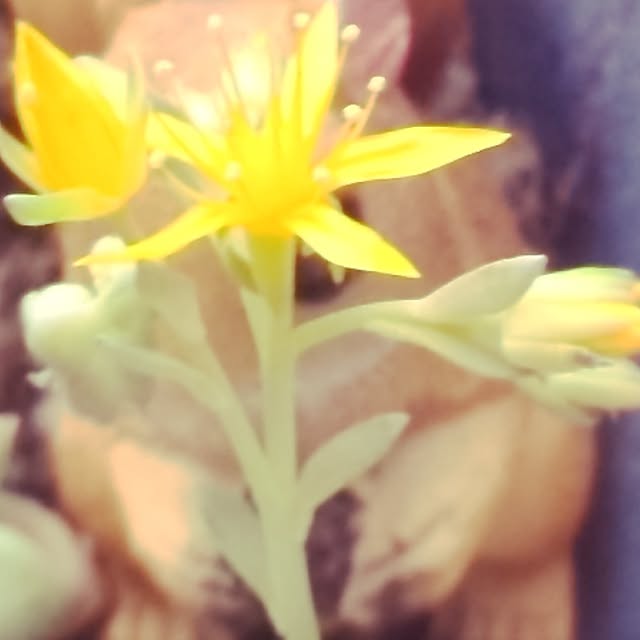 0103さんの実例写真