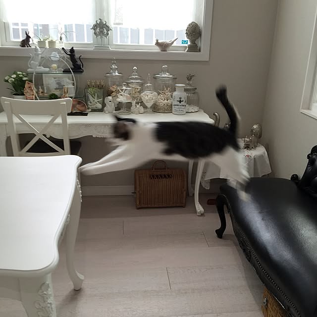 yuchiさんの実例写真