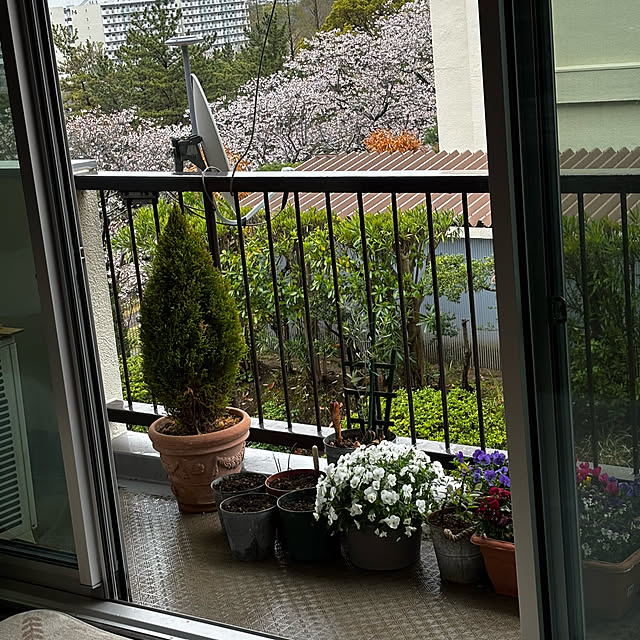 syutmmさんの部屋