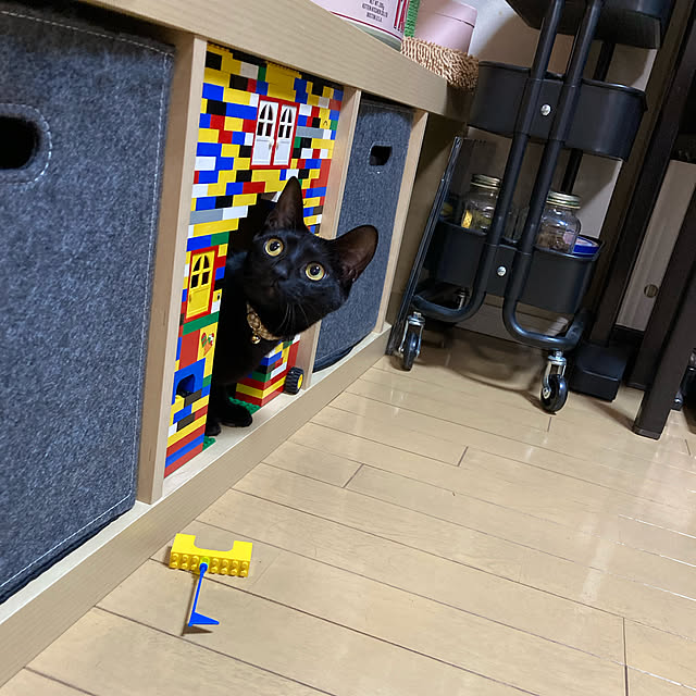 suemonta14さんの実例写真