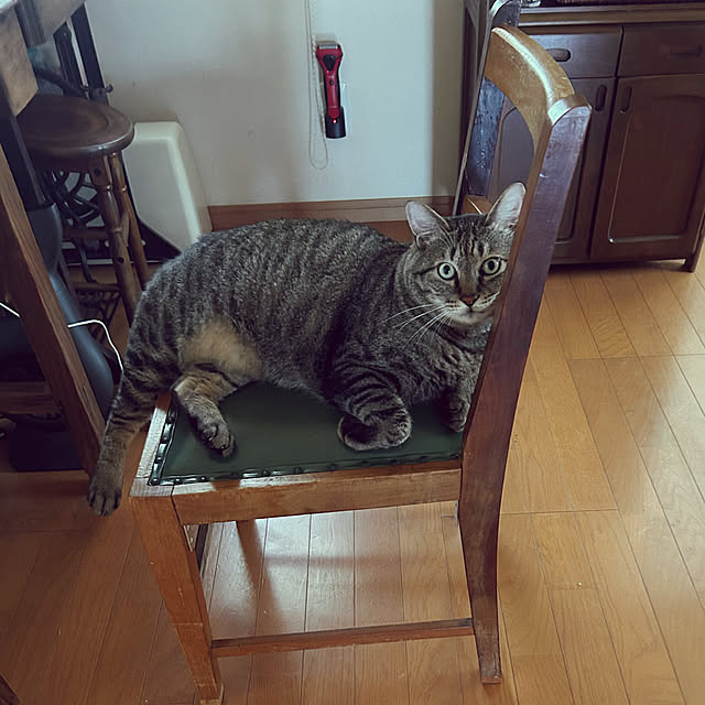 mikan161さんの実例写真
