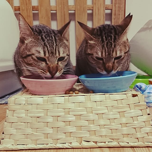 poniさんの実例写真