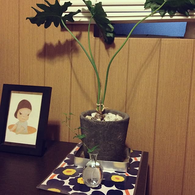 haoo9さんの実例写真