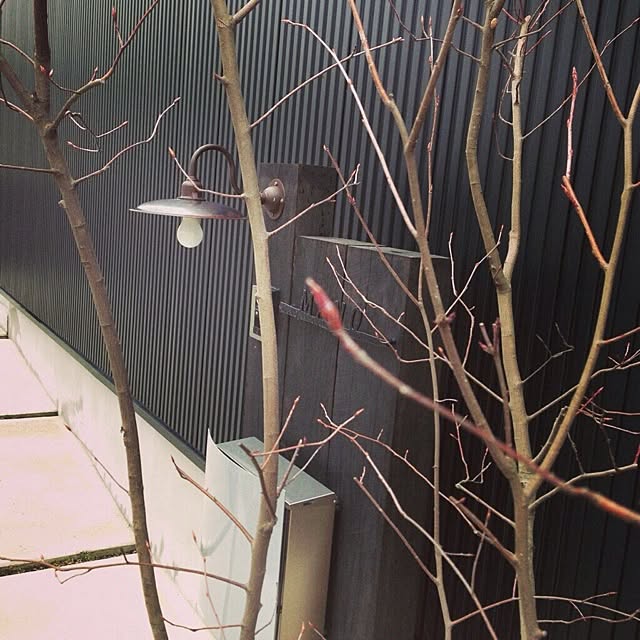 77momocoさんの実例写真