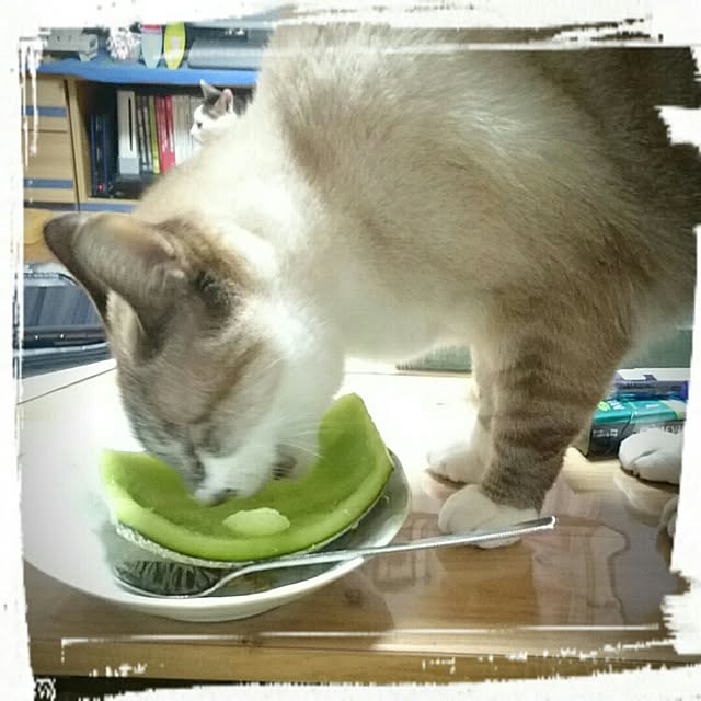 YABAI_VOLVOさんの実例写真
