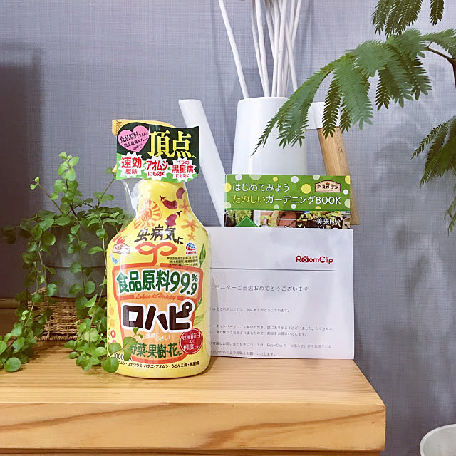 konatsuさんの実例写真