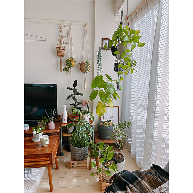 mikiteacupさんの部屋