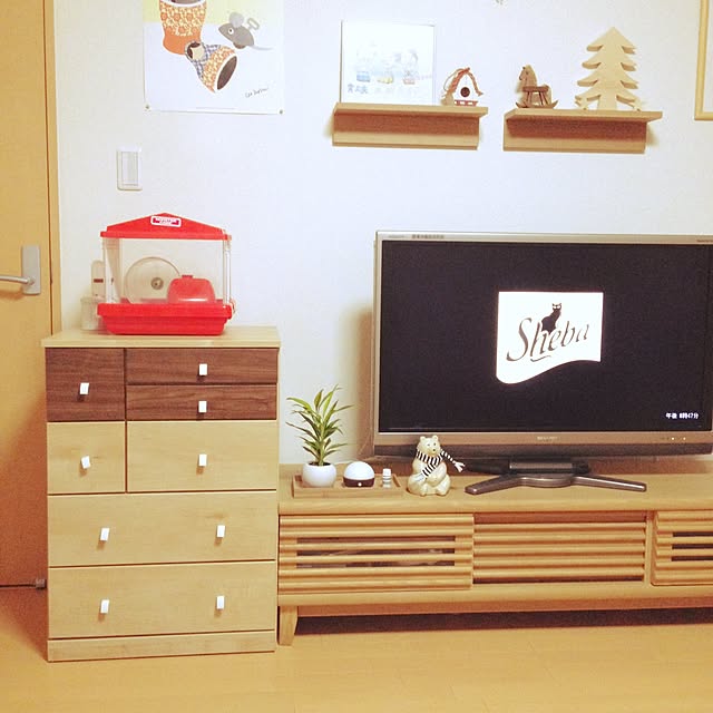 enikkiさんの実例写真