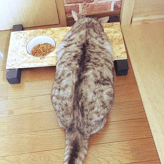 Manamiさんの実例写真