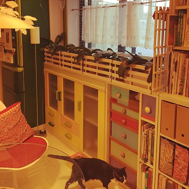 kimishigureさんの実例写真