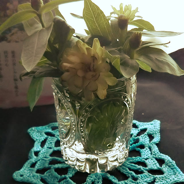 kiraさんの実例写真