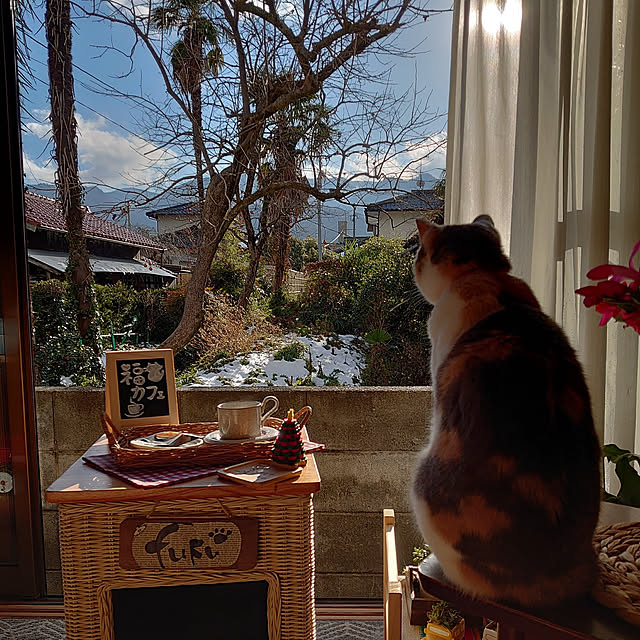 fukuさんの実例写真