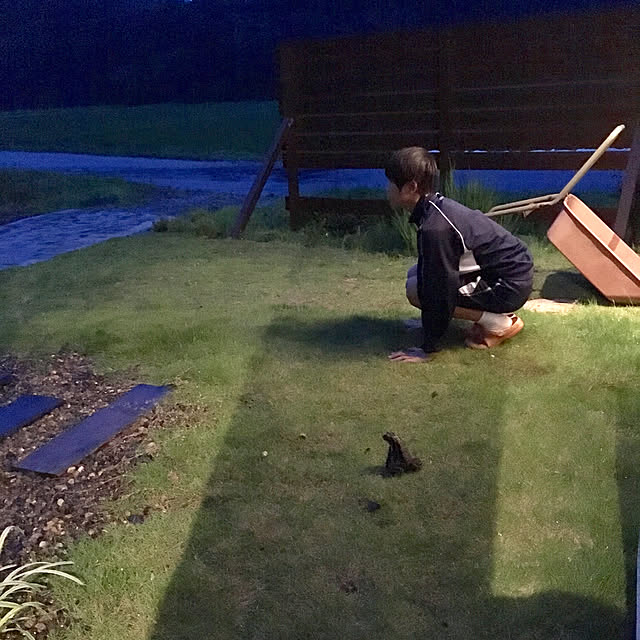 実例写真