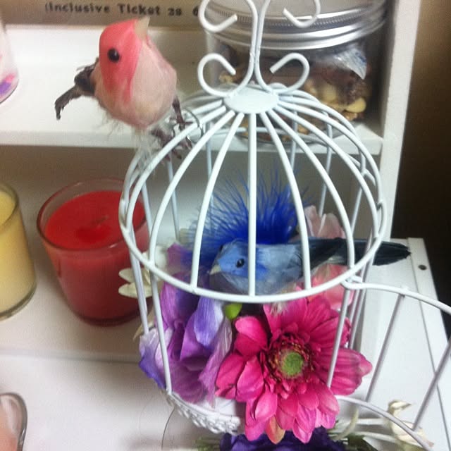 maiさんの実例写真