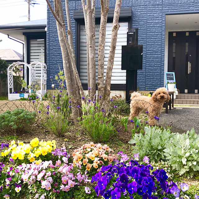 blueberryさんの実例写真