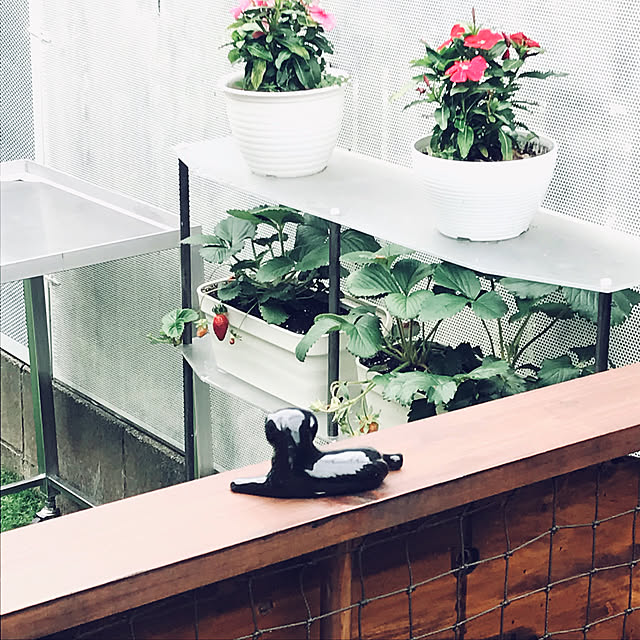 flowerさんの実例写真
