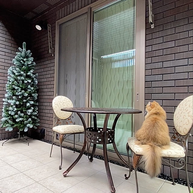Alsace(R)公式 クリスマスツリー 180cm 豊富な枝数 2024ver. 樅 Alsace(R)公式 クリスマスツリー 180cm 豊富な枝数 2024ver. 樅