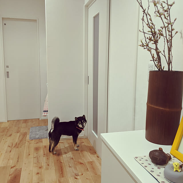 mimi6262さんの実例写真