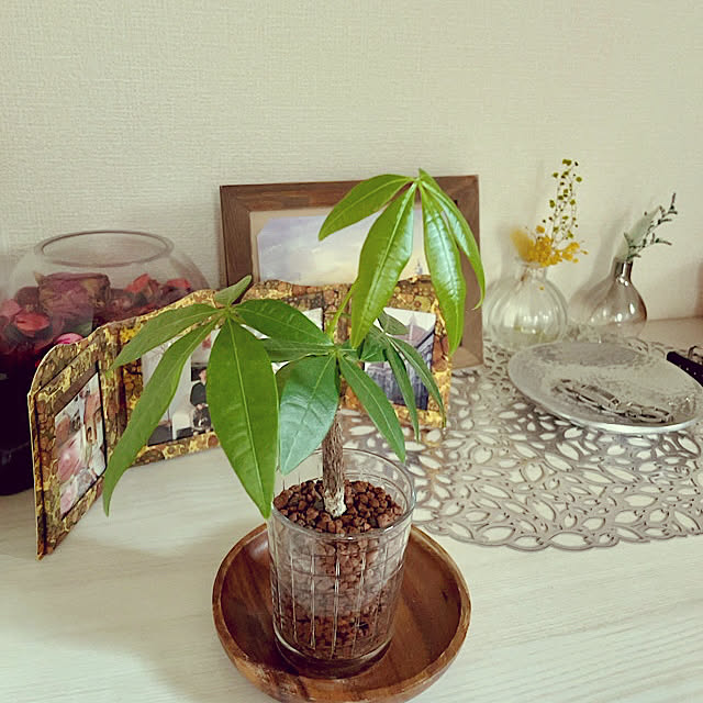 kanaさんの実例写真