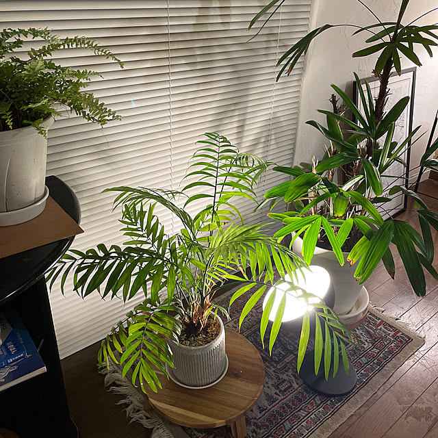 justyさんの部屋