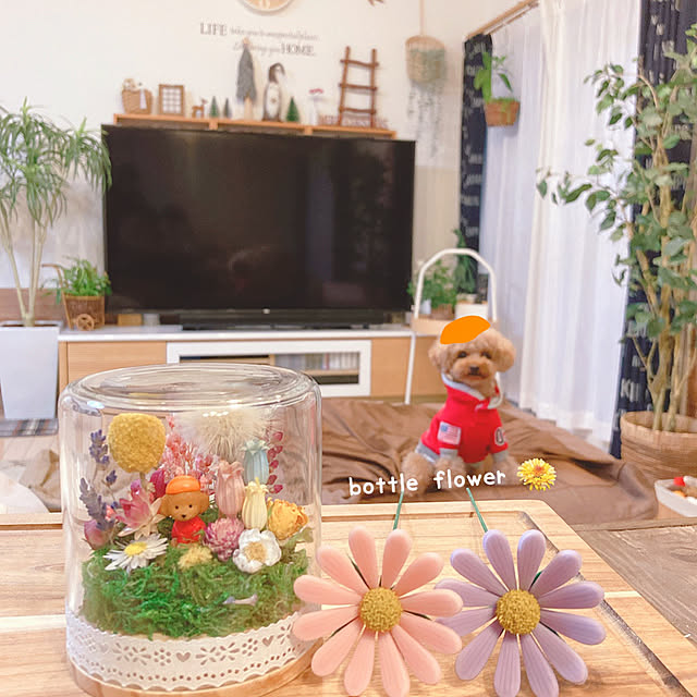 e.and.m.mamaさんの実例写真