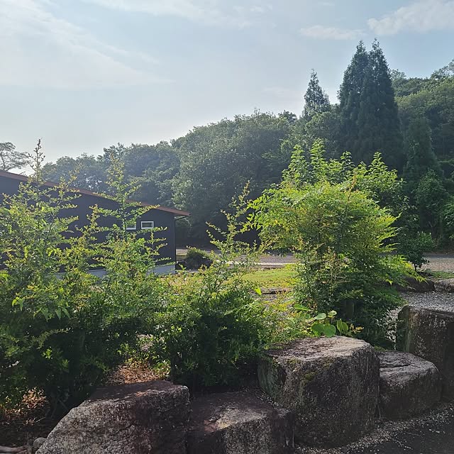Rubiconさんの部屋