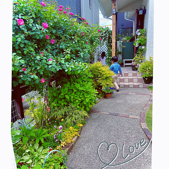 hinamamaさんの実例写真
