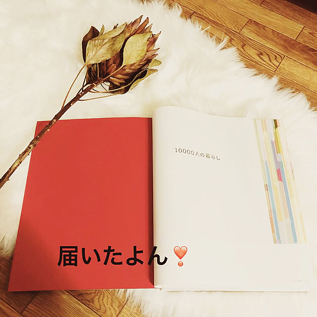 nya-さんの実例写真