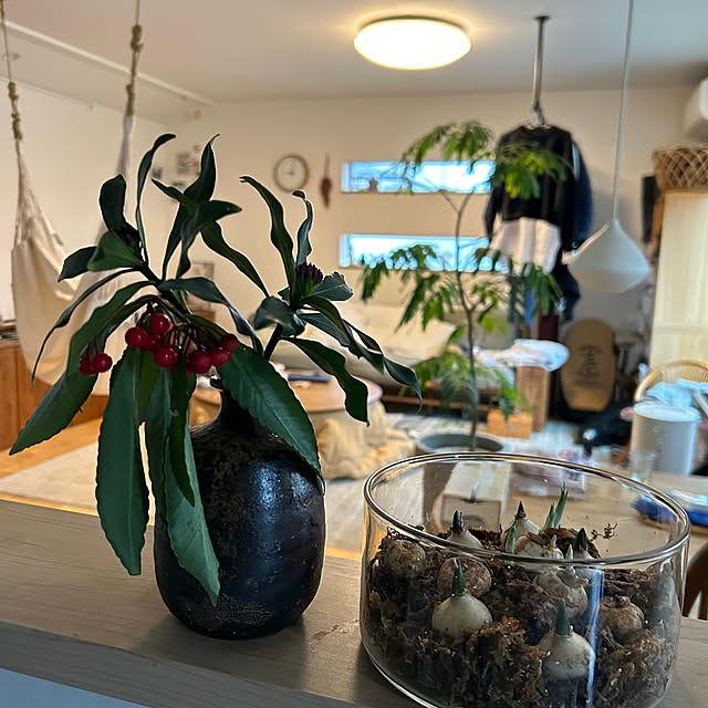 hatsugaさんの実例写真