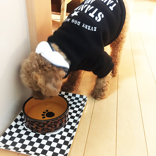 Hitomiさんの実例写真