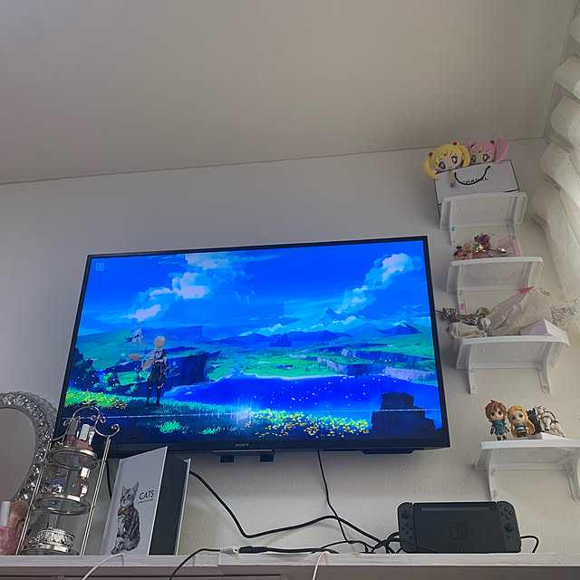 runap_chanさんの実例写真