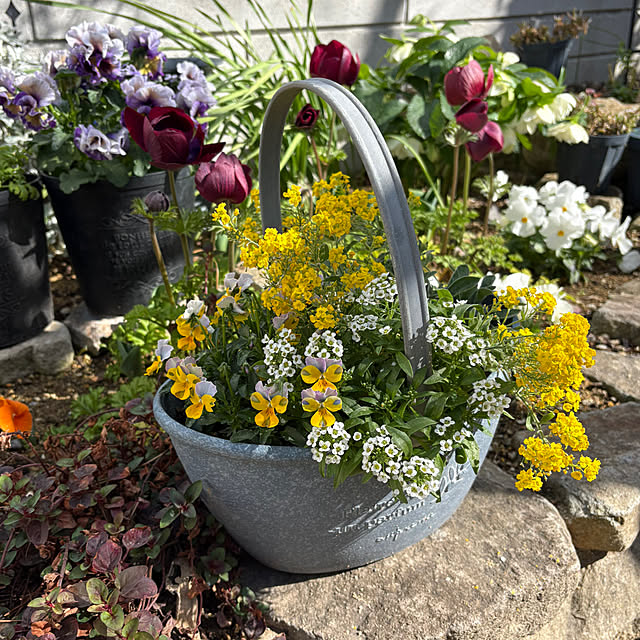 violetさんの実例写真