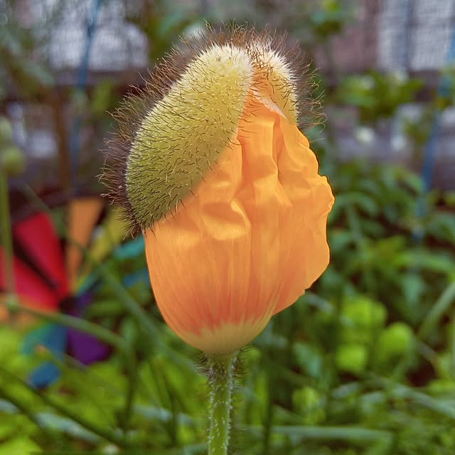 mocomocoさんの実例写真
