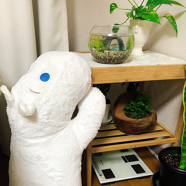 Maさんの実例写真