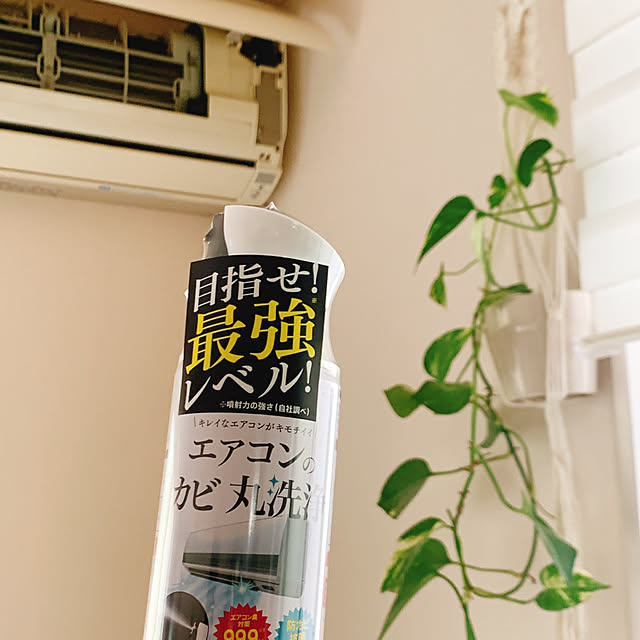 Momooさんの実例写真