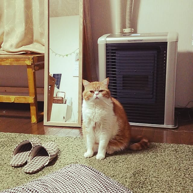 otoさんの実例写真