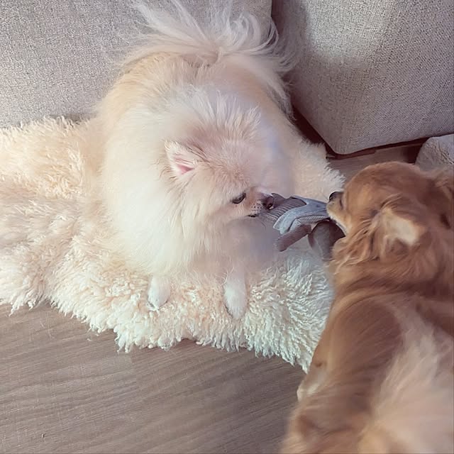 noahさんの部屋