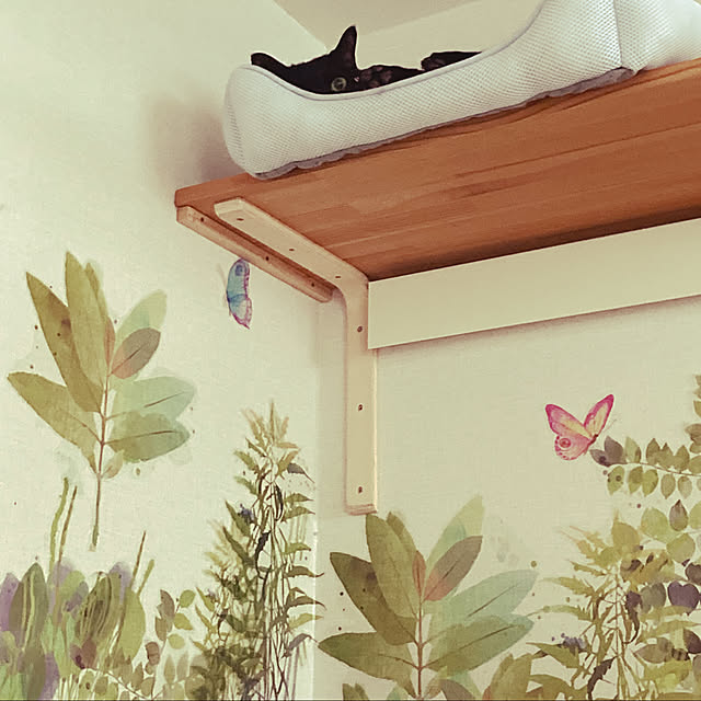 chakuron.iさんの実例写真
