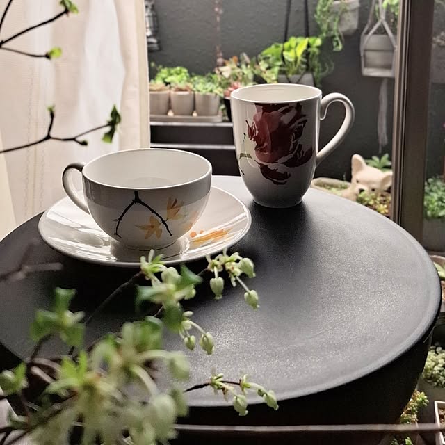 noaさんの実例写真