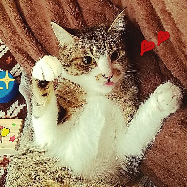 monchanさんの実例写真