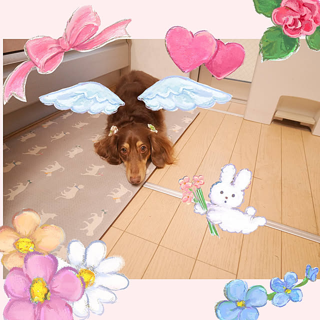fumi626さんの実例写真